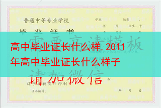高中毕业证长什么样,2011年高中毕业证长什么样子